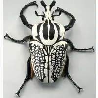 Trading Figure - Animarie Collection