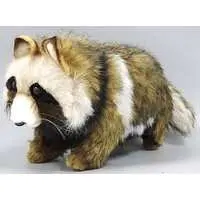 Plush - Tanuki (raccoon dog)