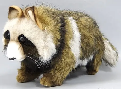 Plush - Tanuki (raccoon dog)