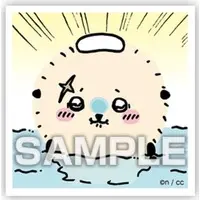 Stickers - Chiikawa / Rakko