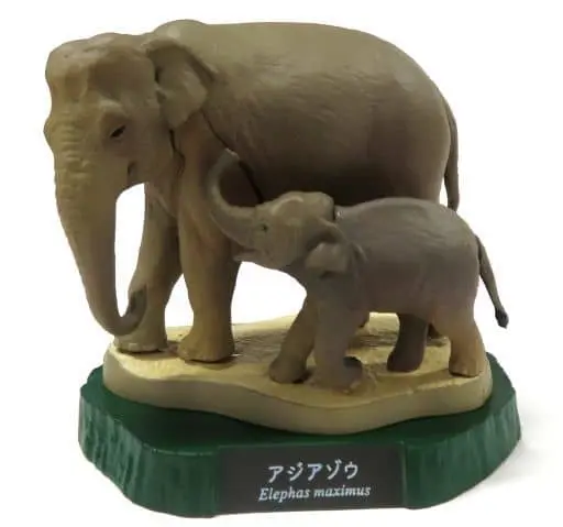 Trading Figure - Higashiyama Zoo and Botanical Gardens