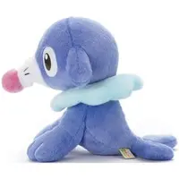 Plush - Pokémon / Popplio