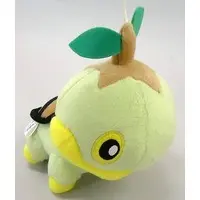 Plush - Pokémon / Turtwig