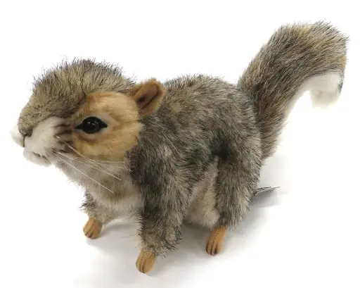 Plush - Squirrel