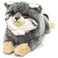 Plush - Hizaneko / Pallas's cat (manul)