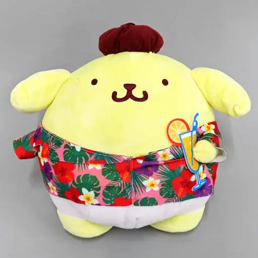 Plush - Sanrio / Pom Pom Purin