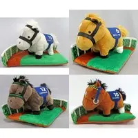 Plush - Thoroughbred collection