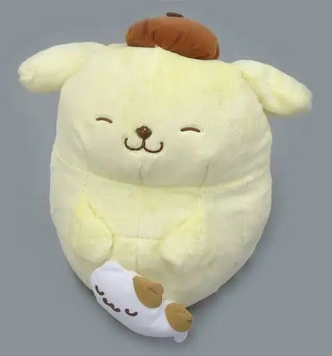 Plush - Sanrio / Pom Pom Purin