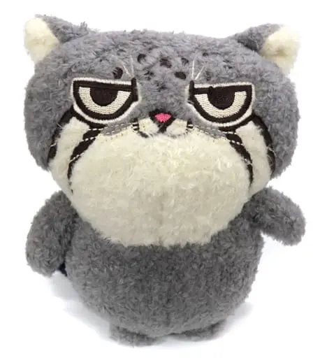 Plush - Kobe Animal Kingdom / Pallas's cat (manul)