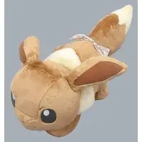 Plush - Pokémon / Eevee