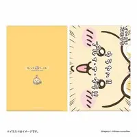 Stationery - Plastic Folder (Clear File) - Chiikawa / Usagi