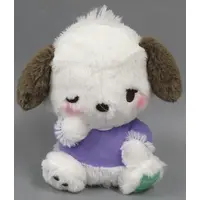 Plush - Sanrio / Pochacco