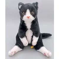 Plush - Cat