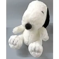 Plush - PEANUTS / Snoopy