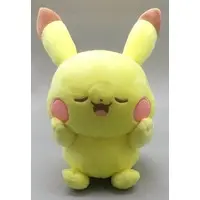 PokéPeace - Pokémon / Pikachu