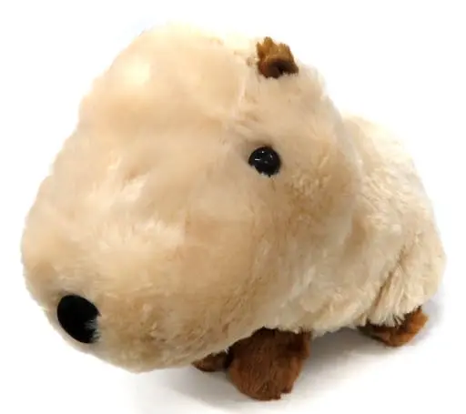 Plush - Capybara