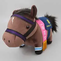 Plush - Thoroughbred collection