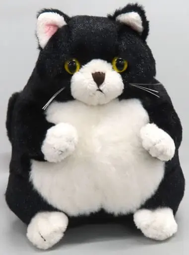 Plush - Cat