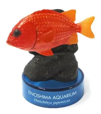 Trading Figure - Enoshima Aquarium