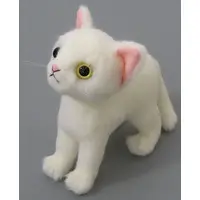 Plush - Cat