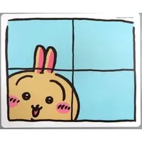 Stickers - Chiikawa / Usagi