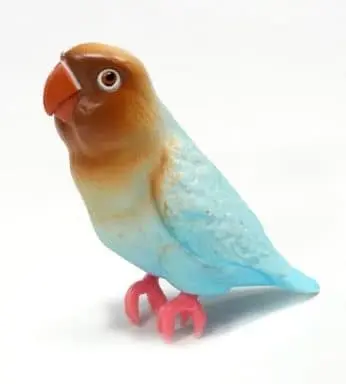 Trading Figure - Parakeet
