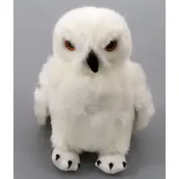 Plush - Harry Potter Series / Hedwig (Harry Potter)