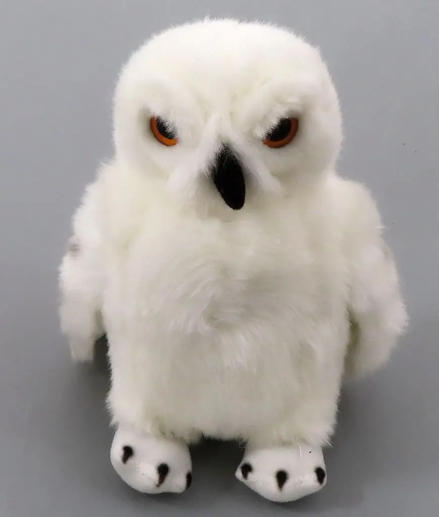 Plush - Harry Potter Series / Hedwig (Harry Potter)