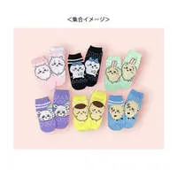 Clothes - Socks - Chiikawa / Chiikawa