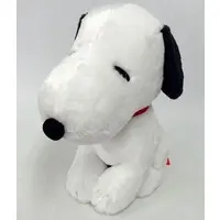 Plush - PEANUTS / Snoopy