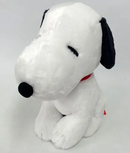 Plush - PEANUTS / Snoopy