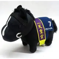 Plush - Thoroughbred collection