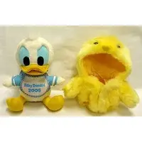 Plush - Disney / Donald Duck