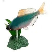 Trading Figure - Freshwater Fishes