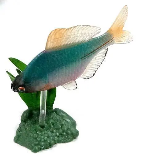 Trading Figure - Freshwater Fishes