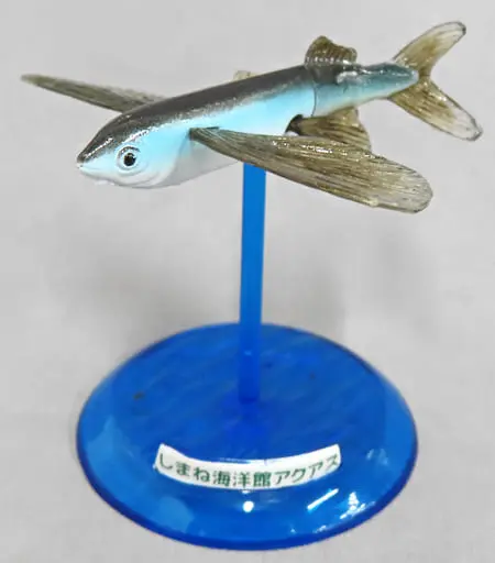 Trading Figure - Japan Aquariums