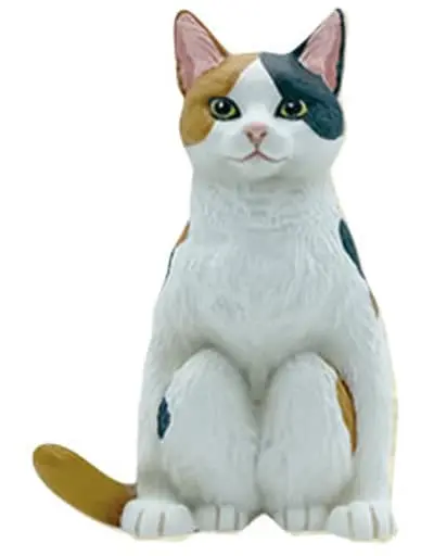 Trading Figure - Shagamuneko