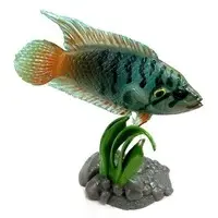 Trading Figure - Freshwater Fishes