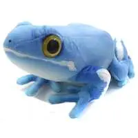 Plush - Frog