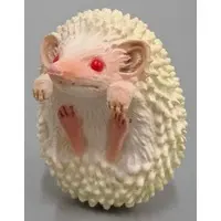 PUTITTO - Hedgehog