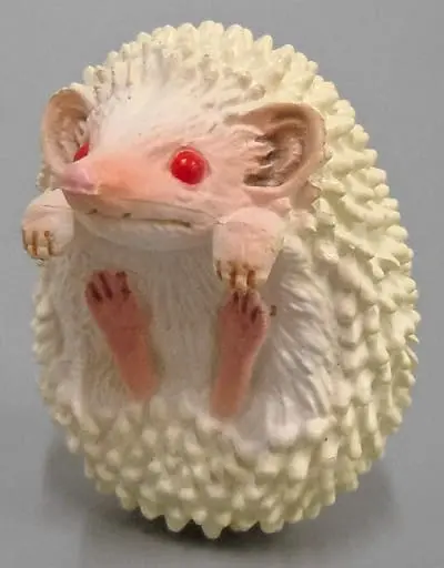 PUTITTO - Hedgehog