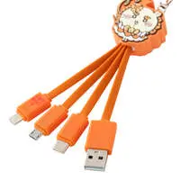 USB Cable - Chiikawa / Shisa