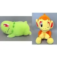 Plush - Pokémon / Chimchar & Chikorita