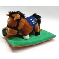 Plush - Thoroughbred collection