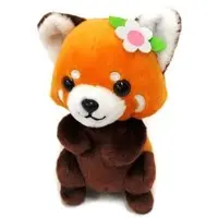 Plush - Red panda (lesser panda)