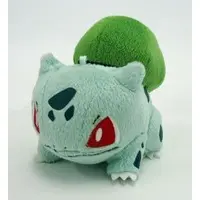 Plush - Pokémon / Bulbasaur