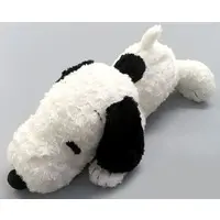 Plush - PEANUTS / Snoopy