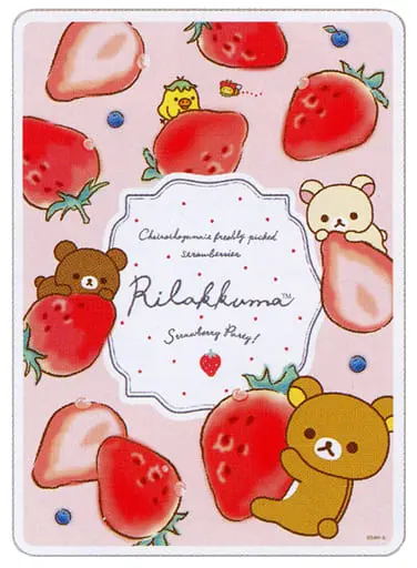 Stationery - Plastic Sheet - RILAKKUMA