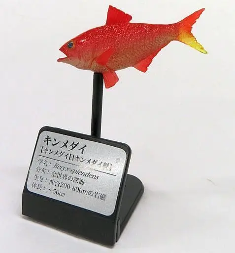 Trading Figure - Primary Color Saltwater Fish Encyclopedia