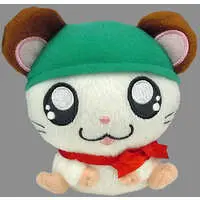 Plush - Tottoko Hamutarou / Kaburu-kun (Cappy)